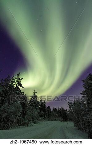 Aurora borealis, Northernlight over winter forestroad with snow on the trees in G? llivare in Swedish lapland. View Large Photo Image Stock Image - Aurora borealis, Northernlight over winter forestroad with snow on the trees in G? llivare in Swedish lapland.. Fotosearch