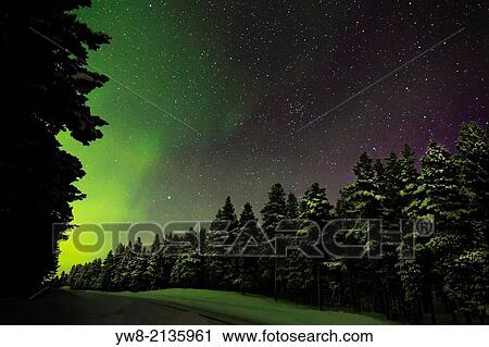Aurora Borealis or Northern Lights, Lapland, Sweden. View Large Photo Image Stock Image - Aurora Borealis or Northern Lights, Lapland, Sweden.. Fotosearch