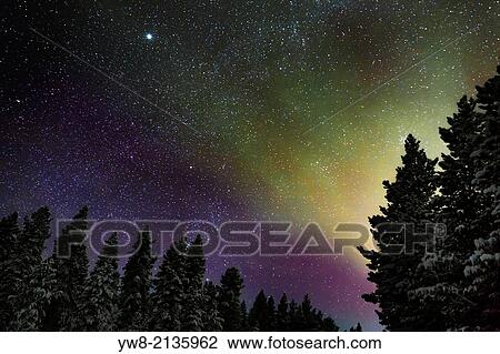 Stock Image - Aurora Borealis or Northern Lights, Lapland, Sweden.. Fotosearch