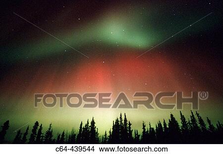 Aurora Borealis or Nothern Lights. Denali National Park. Alaska. USA View Large Photo Image Picture - Aurora Borealis or Nothern Lights. Denali National Park. Alaska. USA. Fotosearch