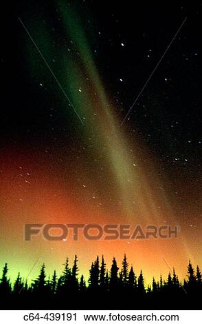 Aurora Borealis or Nothern Lights. Denali National Park. Alaska. USA View Large Photo Image Stock Image - Aurora Borealis or Nothern Lights. Denali National Park. Alaska. USA. Fotosearch