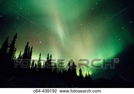 Aurora Borealis or Nothern Lights. Brooks range. Alaska. USA View Large Photo Image Stock Image - Aurora Borealis or Nothern Lights. Brooks range. Alaska. USA. Fotosearch