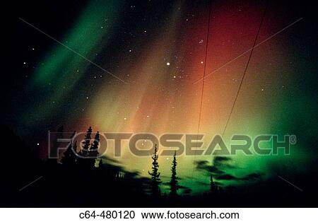 Aurora Borealis or Nothern Lights. Yukon territory. Canada View Large Photo Image Stock Image - Aurora Borealis or Nothern Lights. Yukon territory. Canada. Fotosearch