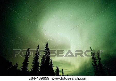 Aurora Borealis or Nothern Lights. Brooks range. Alaska. USA View Large Photo Image Stock Photo - Aurora Borealis or Nothern Lights. Brooks range. Alaska. USA. Fotosearch