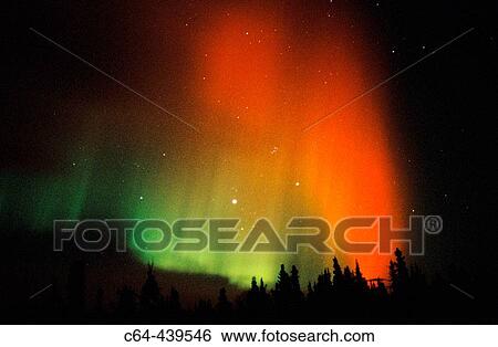 Aurora Borealis or Nothern Lights. Yukon territory. Canada View Large Photo Image Stock Photograph - Aurora Borealis or Nothern Lights. Yukon territory. Canada. Fotosearch