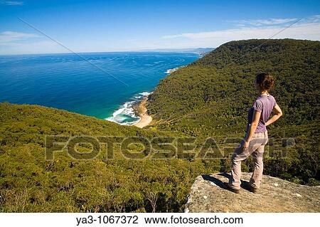 Australia, New South Wales, Royal National Park Female hiker walking the coastal path takes a break to look down on Werrong Beach from a rocky lookout above View Large Photo Image Stock Image - Australia, New South Wales, Royal National Park Female hiker walking the coastal path takes a break to look down on Werrong Beach from a rocky lookout above. Fotosearch
