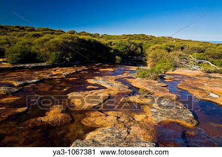 Australia, New South Wales, Royal National Park Curra Brook, crossed whilst walking the Coast Track through the Royal National Park View Large Photo Image Stock Image - Australia, New South Wales, Royal National Park Curra Brook, crossed whilst walking the Coast Track through the Royal National Park. Fotosearch
