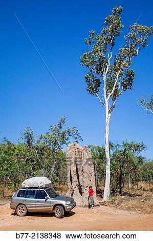 Australia, Northern Territory, Kakadu National Park, giant termite mound in the Savanna Woodlands by the side of Kakadu Highway. View Large Photo Image Stock Photo - Australia, Northern Territory, Kakadu National Park, giant termite mound in the Savanna Woodlands by the side of Kakadu Highway.. Fotosearch