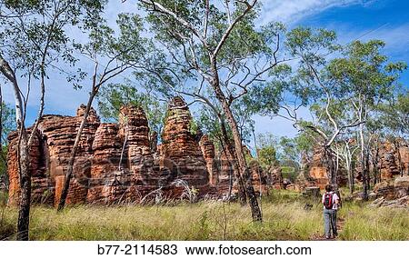 Australia, Northern Territory, Limmen National Park, hiking Southern Lost City, slica glazed sandstone pillas, towers and pinnacles give the impression of an enchanted, petrified city. View Large Photo Image Stock Image - Australia, Northern Territory, Limmen National Park, hiking Southern Lost City, slica glazed sandstone pillas, towers and pinnacles give the impression of an enchanted, petrified city.. Fotosearch
