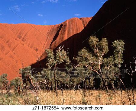 Australia, Northern Territory, Uluru National Park, Ayers Rock, Uluru, View Large Photo Image Picture - Australia, Northern Territory, Uluru National Park, Ayers Rock, Uluru,. Fotosearch