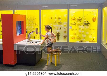 Australia, Queensland, Brisbane, South Brisbane, Cultural Centre, center, Queensland Museum & and ScienceCentre, exhibit, touchscreen, girl, trying, learning, student. View Large Photo Image Picture - Australia, Queensland, Brisbane, South Brisbane, Cultural Centre, center, Queensland Museum & and ScienceCentre, exhibit, touchscreen, girl, trying, learning, student.. Fotosearch