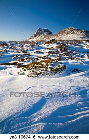 Australia, Tasmania, Cradle Mt - Lake St Clair National Park Snow covered native bush and the dolerite columns of Cradle Mountain View Large Photo Image Stock Photograph - Australia, Tasmania, Cradle Mt - Lake St Clair National Park Snow covered native bush and the dolerite columns of Cradle Mountain. Fotosearch
