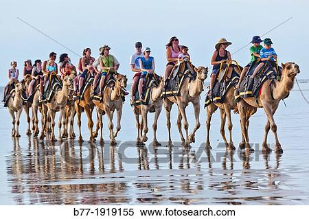 Australia, Western Australia, Broome, camel ride at Cable Beach View Large Photo Image Stock Photography - Australia, Western Australia, Broome, camel ride at Cable Beach. Fotosearch