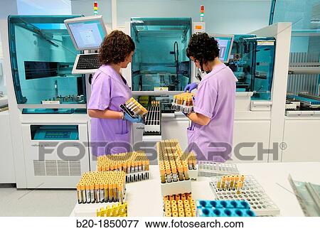 Automatic Specimen Distributor, Hemotherapy, Hematology Laboratory, Task targeted automation system, Donostia Hospital, San Sebastian, Donostia, Gipuzkoa, Basque Country, Spain View Large Photo Image Stock Photo - Automatic Specimen Distributor, Hemotherapy, Hematology Laboratory, Task targeted automation system, Donostia Hospital, San Sebastian, Donostia, Gipuzkoa, Basque Country, Spain. Fotosearch