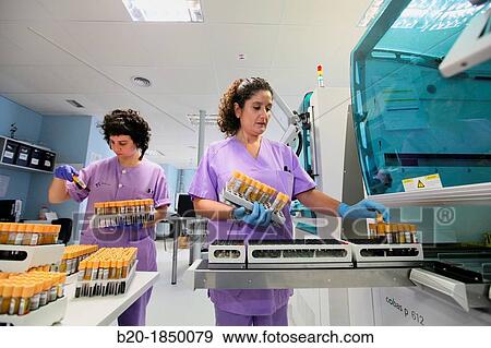Automatic Specimen Distributor, Hemotherapy, Hematology Laboratory, Task targeted automation system, Donostia Hospital, San Sebastian, Donostia, Gipuzkoa, Basque Country, Spain View Large Photo Image Stock Photo - Automatic Specimen Distributor, Hemotherapy, Hematology Laboratory, Task targeted automation system, Donostia Hospital, San Sebastian, Donostia, Gipuzkoa, Basque Country, Spain. Fotosearch