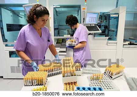 Automatic Specimen Distributor, Hemotherapy, Hematology Laboratory, Task targeted automation system, Donostia Hospital, San Sebastian, Donostia, Gipuzkoa, Basque Country, Spain View Large Photo Image Stock Photograph - Automatic Specimen Distributor, Hemotherapy, Hematology Laboratory, Task targeted automation system, Donostia Hospital, San Sebastian, Donostia, Gipuzkoa, Basque Country, Spain. Fotosearch