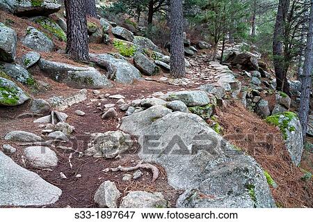 Autopista de la Pedriza road Parque Regional de la Cuenca Alta del Manzanares Sierra de Guadarrama Manzanares el Real Madrid Spain View Large Photo Image Stock Photo - Autopista de la Pedriza road Parque Regional de la Cuenca Alta del Manzanares Sierra de Guadarrama Manzanares el Real Madrid Spain. Fotosearch