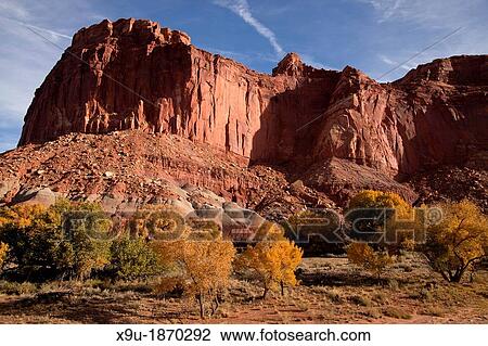 Autumn at Capitol Reef National Park in Utah, United States of America, USA View Large Photo Image Stock Image - Autumn at Capitol Reef National Park in Utah, United States of America, USA. Fotosearch