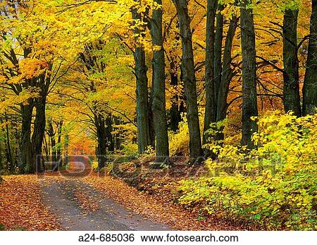 Autumn colors. New England, USA (Nov. 2007) View Large Photo Image Stock Photograph - Autumn colors. New England, USA (Nov. 2007). Fotosearch