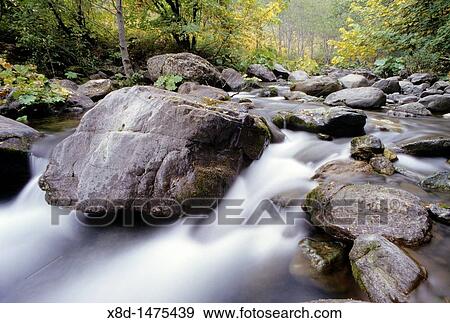 Autumn colors on Hawkins Creek, which is a tributary to the McCloud River above Lake Shasta, California View Large Photo Image Stock Photo - Autumn colors on Hawkins Creek, which is a tributary to the McCloud River above Lake Shasta, California. Fotosearch