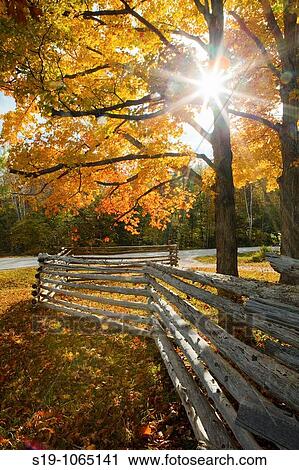 Autumn colors, Wisconsin, USA View Large Photo Image Stock Image - Autumn colors, Wisconsin, USA. Fotosearch