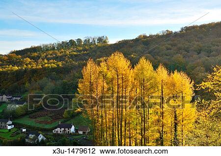 Autumn colours at Barbadoes Hill, Tintern in the Wye Valley Monmouthshire, Wales, United Kingdom View Large Photo Image Stock Image - Autumn colours at Barbadoes Hill, Tintern in the Wye Valley Monmouthshire, Wales, United Kingdom. Fotosearch