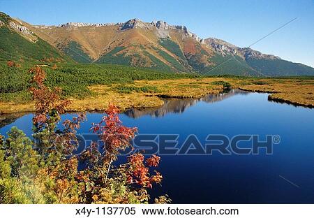 Stock Photography - Autumn colours in Dolina Bielej Vody, High Tatras, Slovakia. Fotosearch