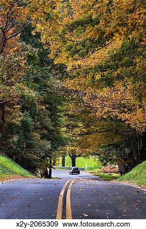 Autumn country road, Stockbridge, Massachusetts, USA. View Large Photo Image Stock Photo - Autumn country road, Stockbridge, Massachusetts, USA.. Fotosearch