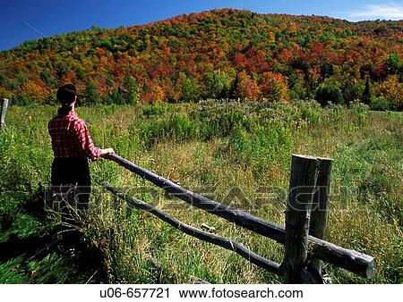 Stock Image - Autumn. East Orange. Vermont. USA.. Fotosearch