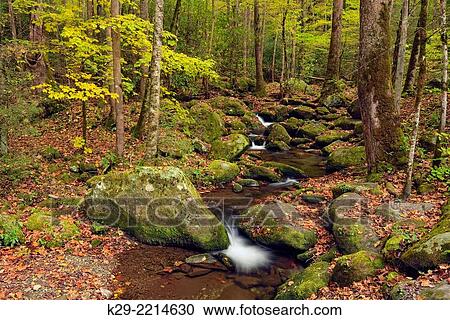 Stock Image - Autumn foliage around Big Creek, Great Smoky Mountains NP, Tennessee, USA.. Fotosearch