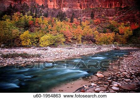 Stock Image - Autumn has arrived at along the Virgin River at Zion National Park.. Fotosearch