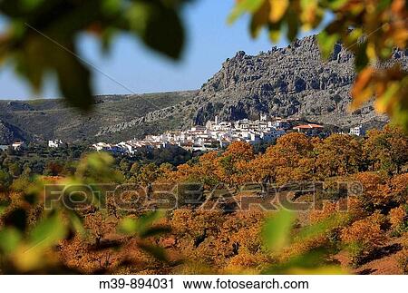 Autumn in Cartajima, Valle del Genal, Serran? a de Ronda, MBlaga, Andaluc? a, Espaa, Europa View Large Photo Image Stock Image - Autumn in Cartajima, Valle del Genal, Serran? a de Ronda, MBlaga, Andaluc? a, Espaa, Europa. Fotosearch