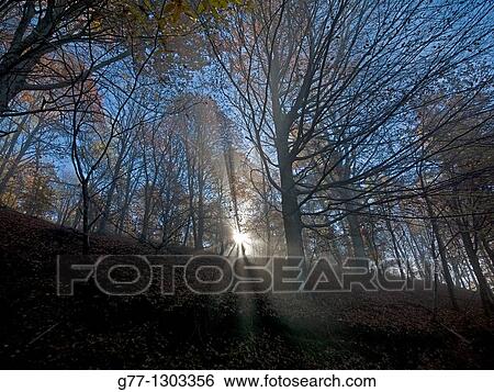 Autumn in Italian Alps, Stresa, Lake Maggiore, Piedmont, Italy View Large Photo Image Stock Photograph - Autumn in Italian Alps, Stresa, Lake Maggiore, Piedmont, Italy. Fotosearch