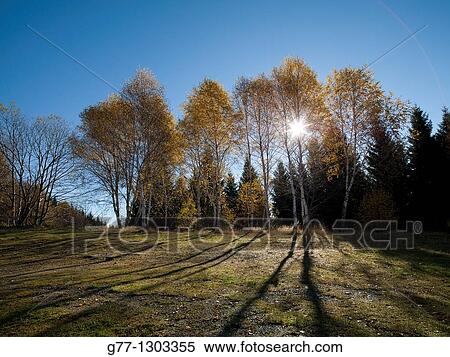 Autumn in Italian Alps, Stresa, Lake Maggiore, Piedmont, Italy View Large Photo Image Stock Photography - Autumn in Italian Alps, Stresa, Lake Maggiore, Piedmont, Italy. Fotosearch
