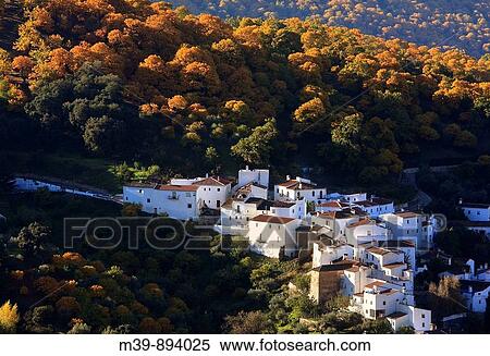 Stock Photography - Autumn in Parauta, Valle del Genal, Serran? a de Ronda, MBlaga, Andaluc? a, Espaa, Europa. Fotosearch