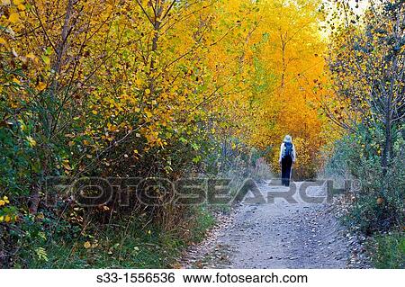 Stock Photograph - Autumn in the Dulce river canyon Aragosa Guadalajara Castilla la Mancha Spain. Fotosearch