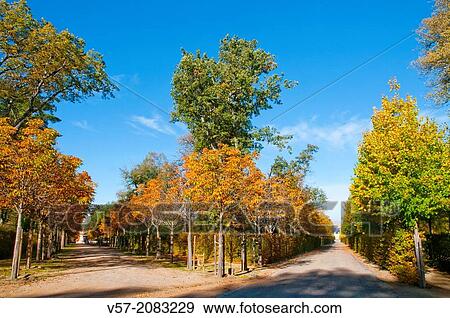 Stock Photo - Autumn in the Gardens. La Granja de San Ildefonso, Segovia province, Castilla Leon, Spain.. Fotosearch