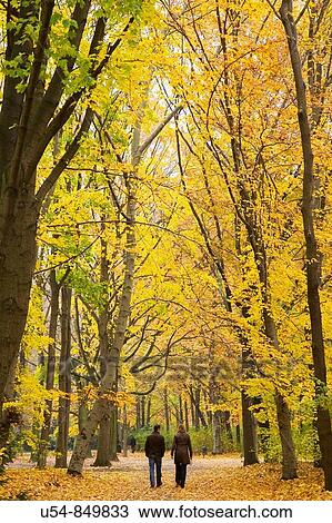 Stock Image - Autumn in Tiergarten forest in Berlin. Germany. Europe. Fotosearch