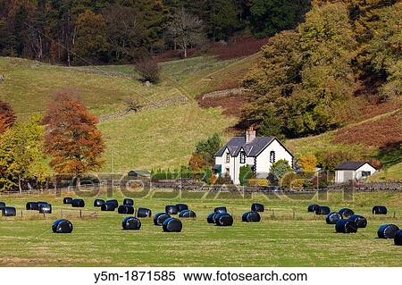 Autumn landscape, Legburthwaite in the Lake District National Park, Cumbria, England, UK, Europe View Large Photo Image Stock Photography - Autumn landscape, Legburthwaite in the Lake District National Park, Cumbria, England, UK, Europe. Fotosearch