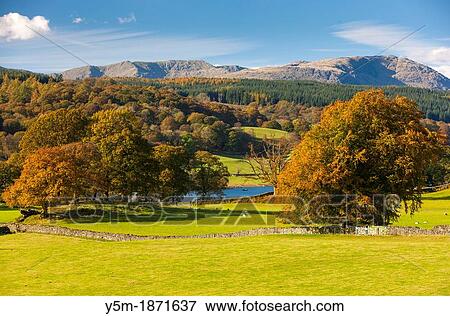 Stock Photo - Autumn landscape on the Esthwaite Water shore in the Lake District National Park, Cumbria, England, UK, Europe. Fotosearch