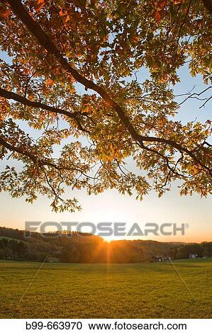 Stock Image - Autumn landscape. Fotosearch