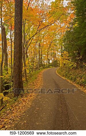 Autumn, Motor Nature Trail, Great Smoky Mountains National Park View Large Photo Image Stock Photo - Autumn, Motor Nature Trail, Great Smoky Mountains National Park. Fotosearch