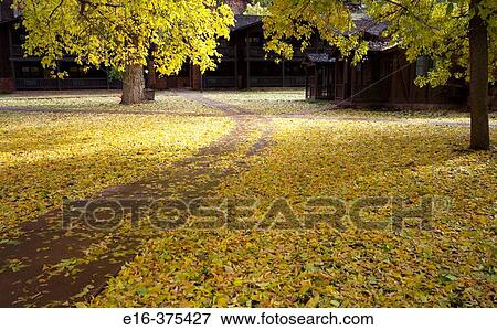 autumn path View Large Photo Image Stock Photo - autumn path. Fotosearch