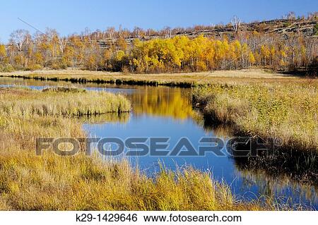 Autumn reflections in Robinson Lake Greater Sudbury Ontario View Large Photo Image Stock Photograph - Autumn reflections in Robinson Lake Greater Sudbury Ontario. Fotosearch