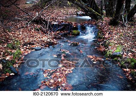 Autumn scene in La Tejera Negra, Guadalajara province, Castile-La Mancha, Spain. View Large Photo Image Stock Image - Autumn scene in La Tejera Negra, Guadalajara province, Castile-La Mancha, Spain.. Fotosearch