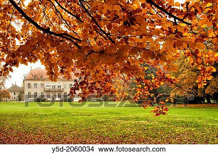 autumn scene, Park de Bude, Geneva, Switzerland View Large Photo Image Picture - autumn scene, Park de Bude, Geneva, Switzerland. Fotosearch