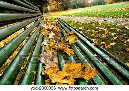 autumn scene, Park de Bude, Geneva, Switzerland View Large Photo Image Stock Photograph - autumn scene, Park de Bude, Geneva, Switzerland. Fotosearch
