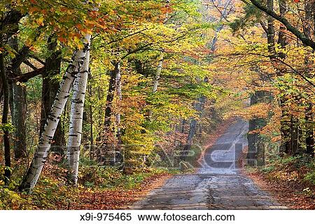 Autumn scenery along road in the Sugar Hill area of New Hampshire View Large Photo Image Stock Photography - Autumn scenery along road in the Sugar Hill area of New Hampshire. Fotosearch