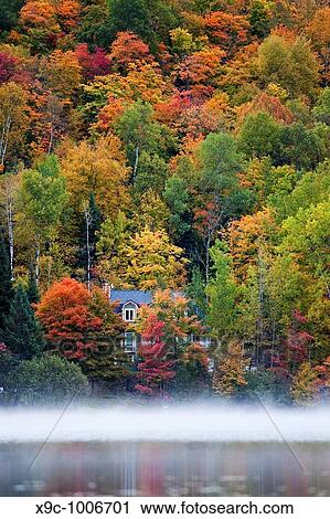 Autumn Scenery in Canada View Large Photo Image Stock Image - Autumn Scenery in Canada. Fotosearch