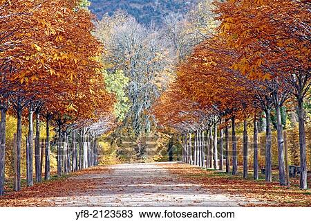 Autumn scenery Royal palace gardens and fountains in La Granja de San Ildefonso Segovia Spain. View Large Photo Image Stock Image - Autumn scenery Royal palace gardens and fountains in La Granja de San Ildefonso Segovia Spain.. Fotosearch